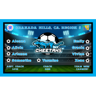 Blue Cheetahs