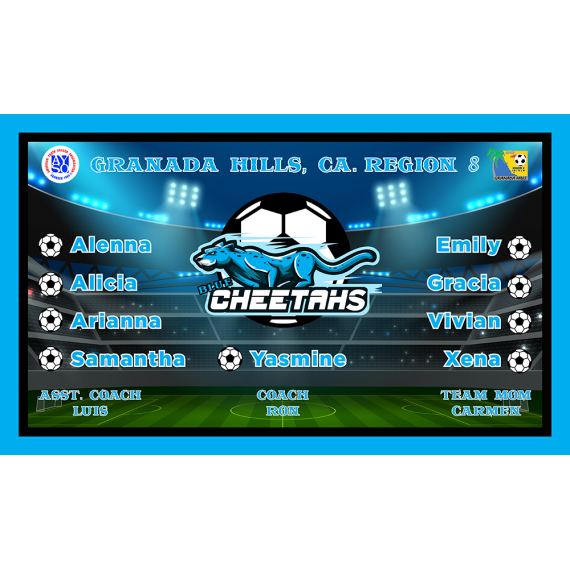 Blue Cheetahs